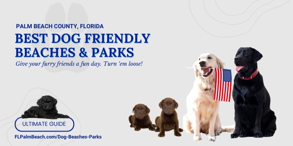 Best Dog Friendly Beaches & Parks 1200x600