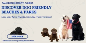 Discover Dog Friendly Beaches & Parks · Palm Beach County Florida 2026 Guide