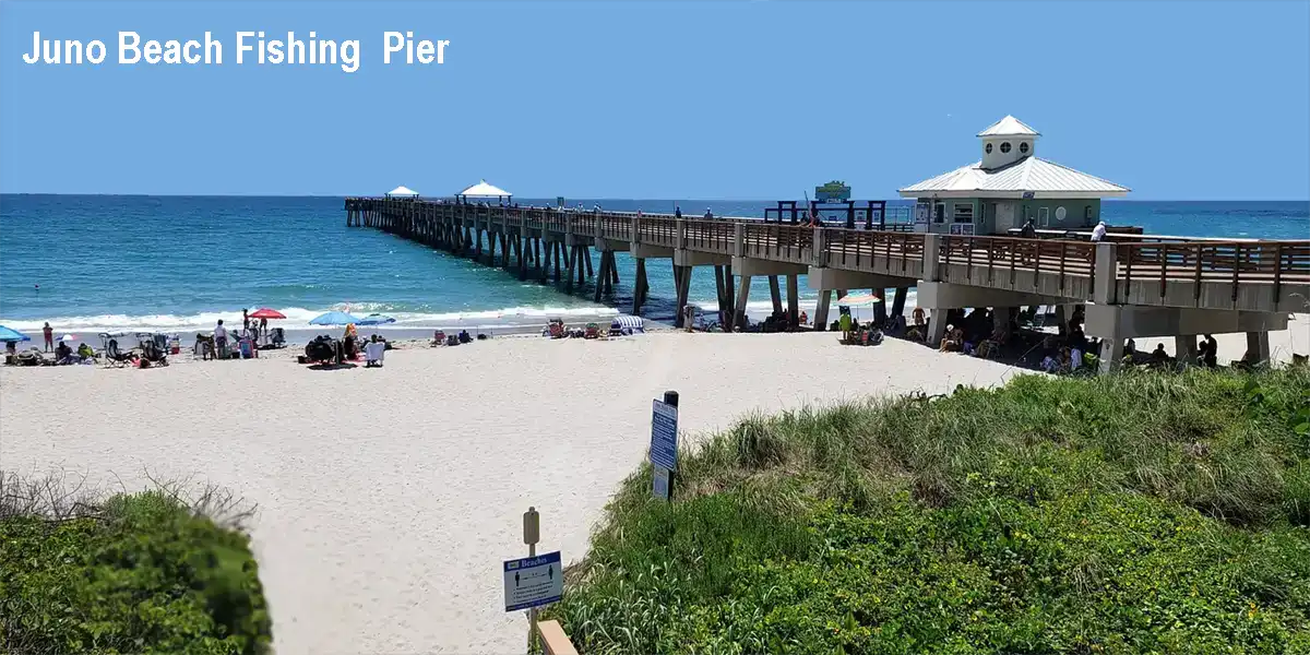 Juno Beach Fishing Pier Atlantic Ocean